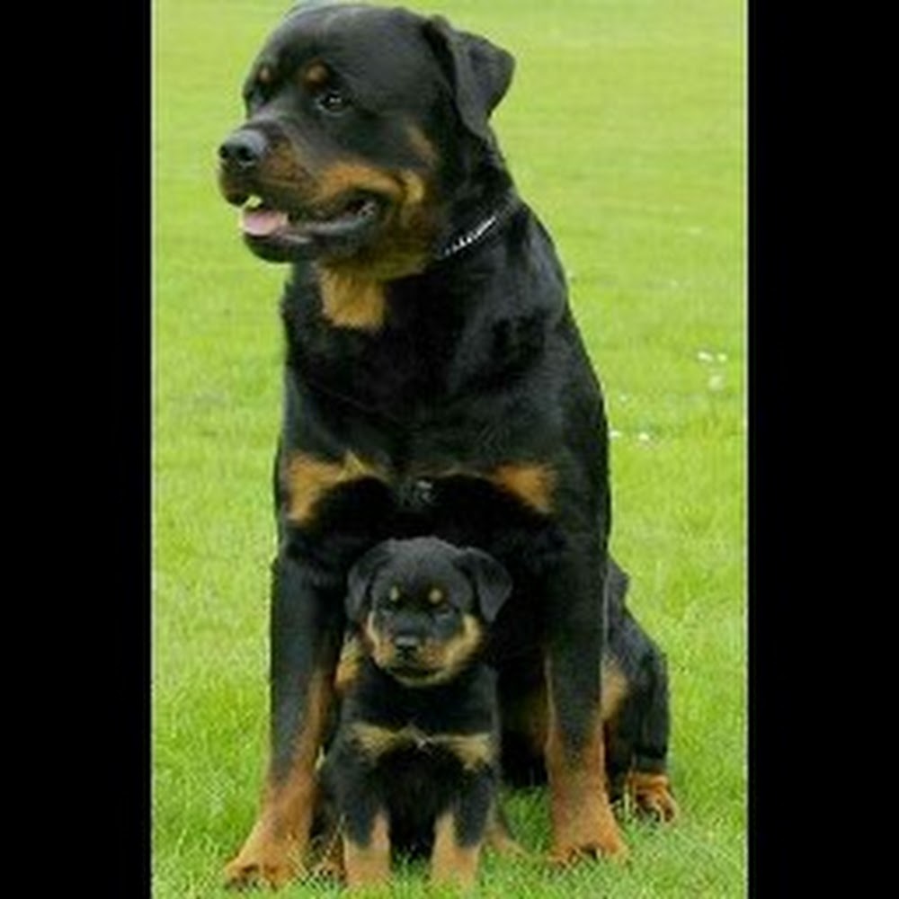 Meet your Posher, Brendan